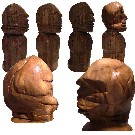 Thumb �evolution